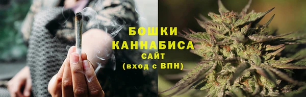 ПСИЛОЦИБИНОВЫЕ ГРИБЫ Беслан