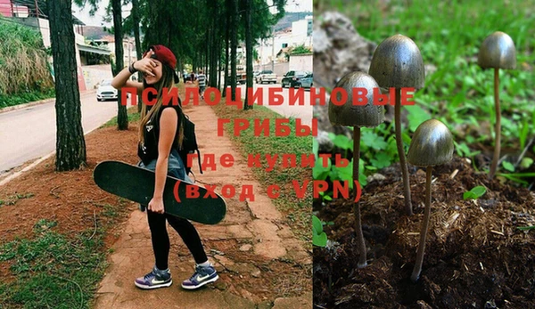 PSILOCYBIN Комсомольск-на-Амуре