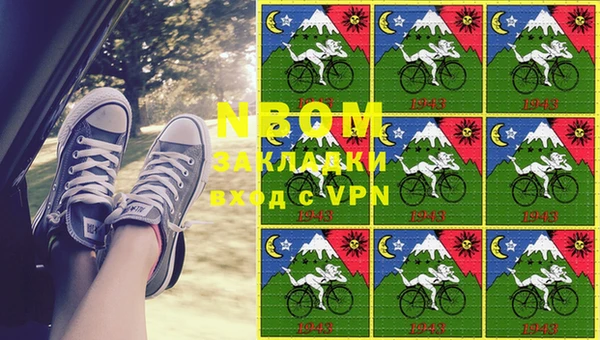 прущий лед Бикин